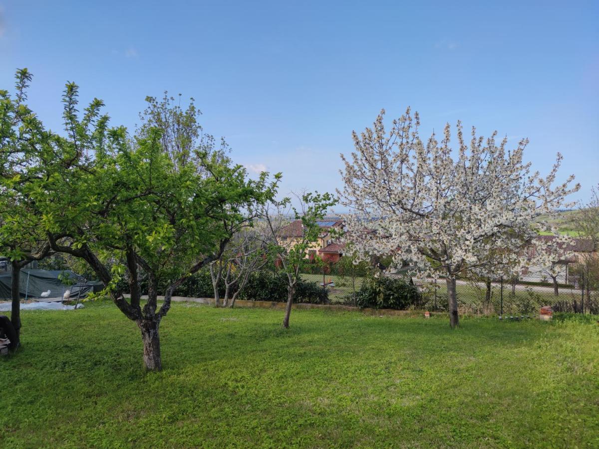 Апартаменти Relax In Collina A Due Passi Dal Mare Torriana Екстер'єр фото